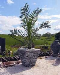 Stone Vase